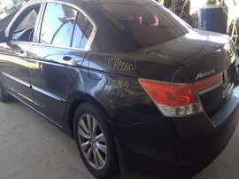 2011 HONDA ACCORD, BLACK, EX-L, 3.5L, AT,  A25163